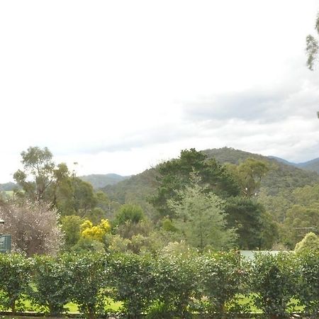 Healesville Maroondah View Motel Esterno foto