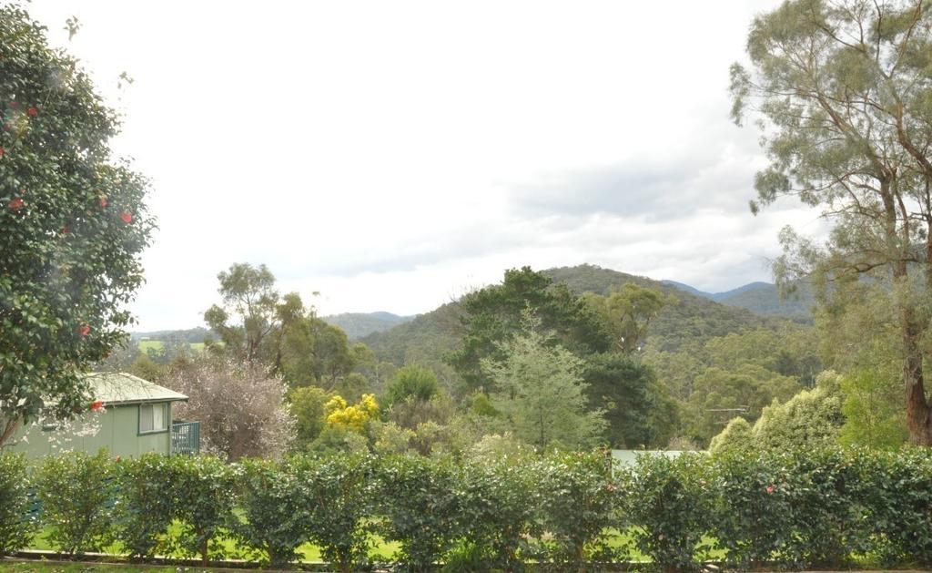 Healesville Maroondah View Motel Esterno foto